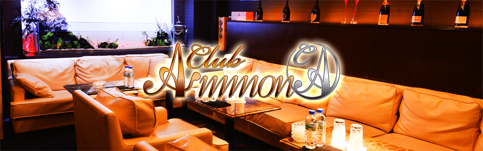 CLUB AMMON